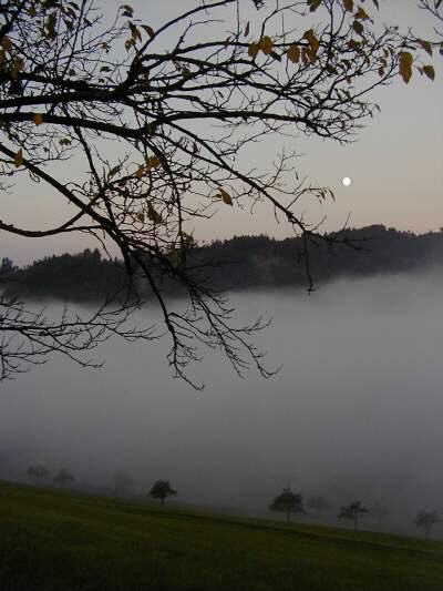 Herbst im Tal