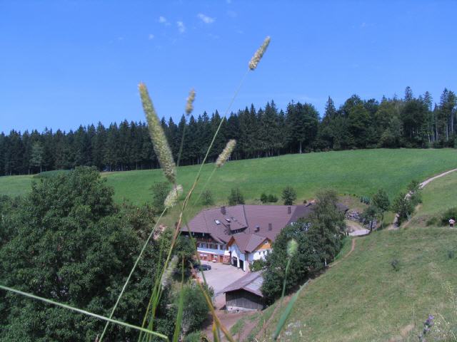 Der Harkhof